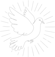 h2-filler-img-bird